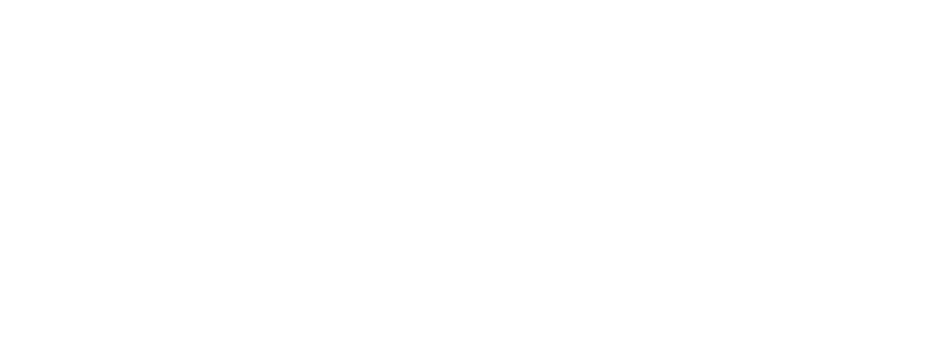 Webtoz — Engineering Digital Excellence